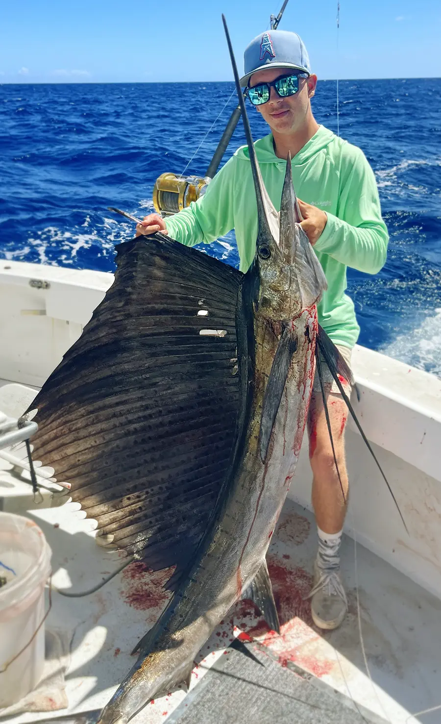 Pacific Sailfish Catch Playn Hooky Oahu pacific sailfish