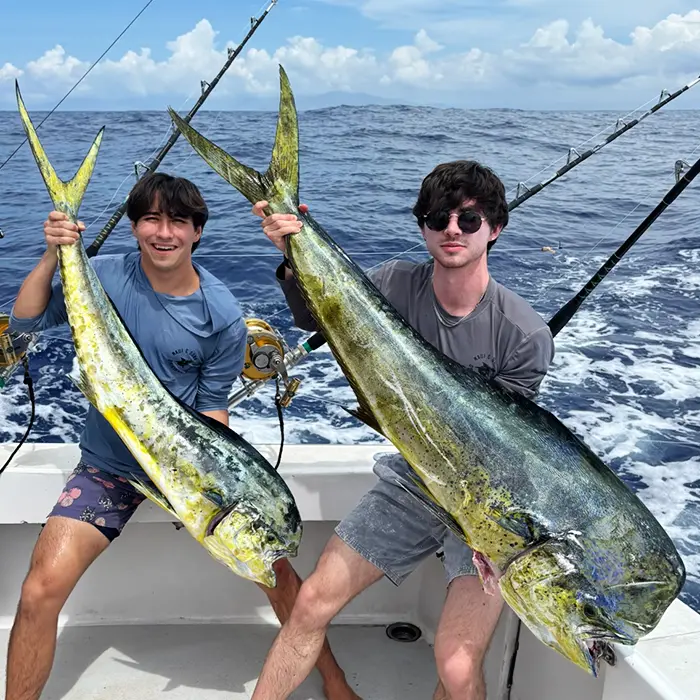 Sportfishing in Hawaii Mahi Mahi